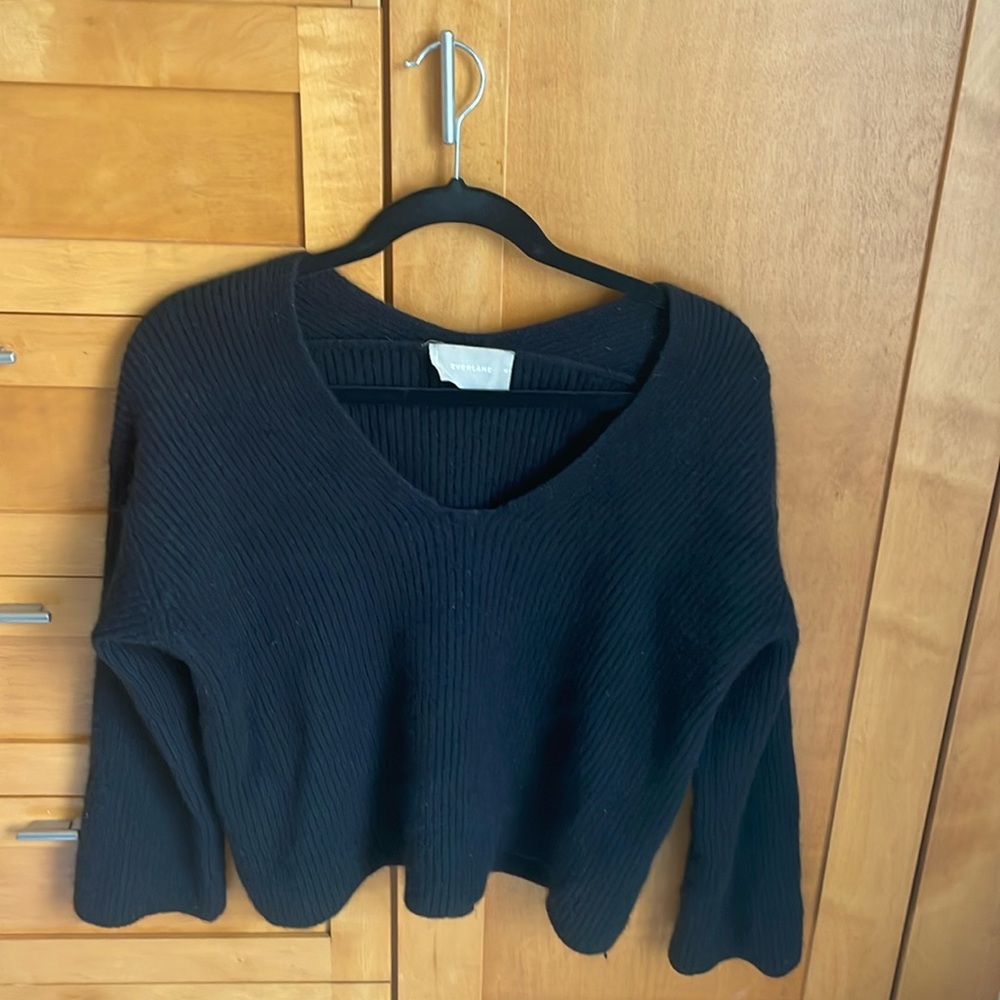 100% Cashmere Everlane Sweater